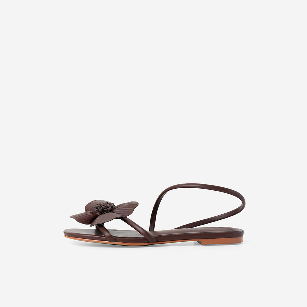 Chestnut Brown