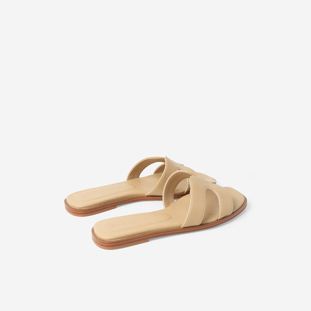 Oat Brown