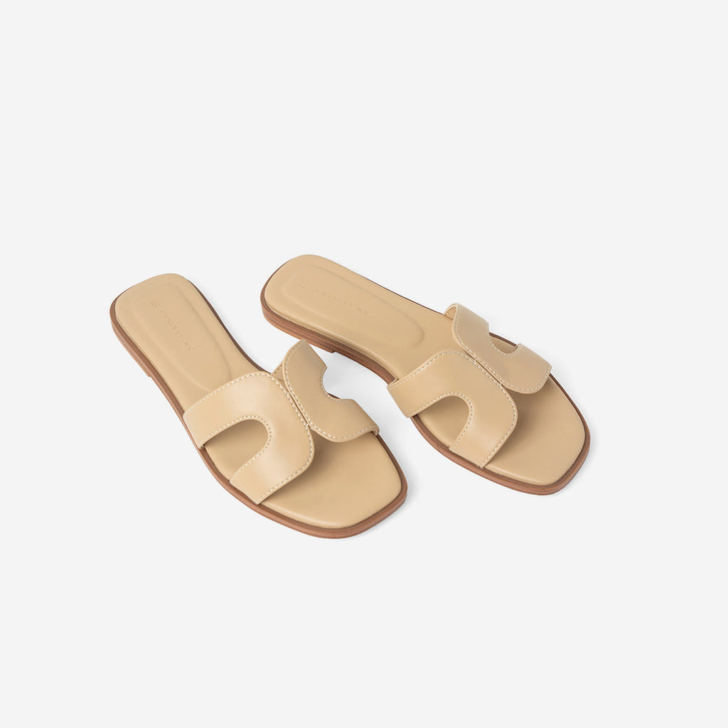 Oat Brown