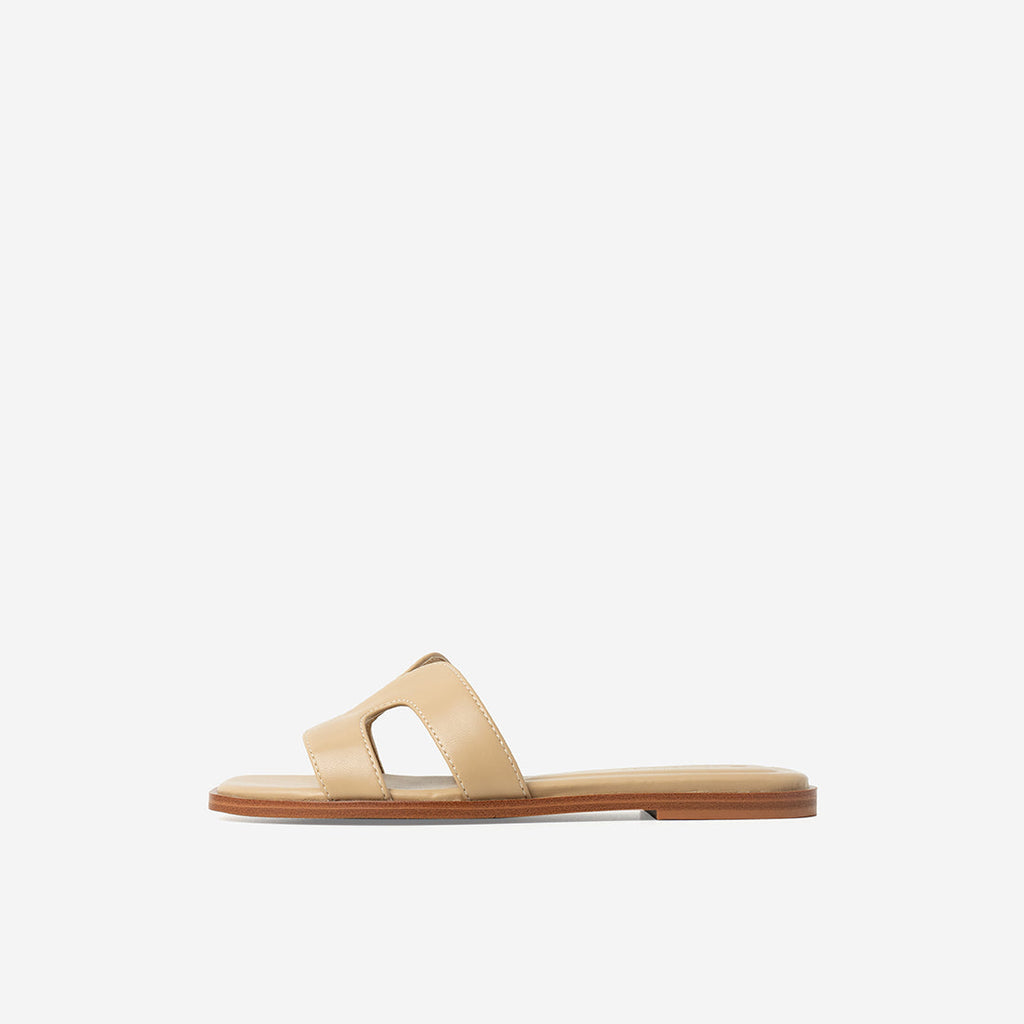 Oat Brown